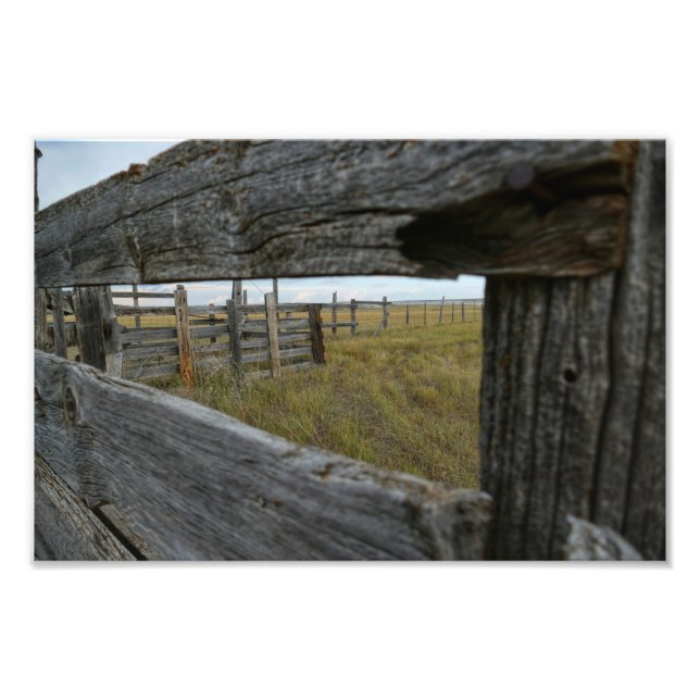 The View Through Photo Print (Front)