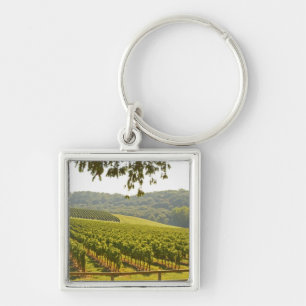 The vineyard and a valley with a forest - keychain