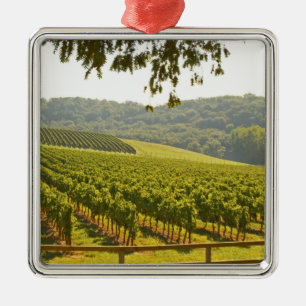 The vineyard and a valley with a forest - metal ornament