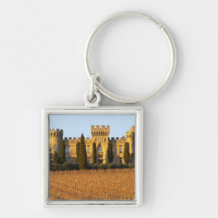 The vineyard with syrah vines and the chateau keychain