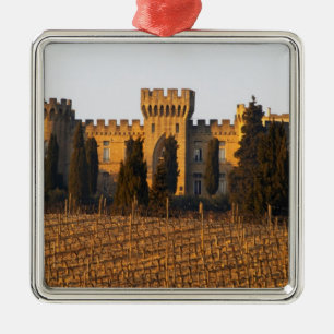 The vineyard with syrah vines and the chateau metal ornament