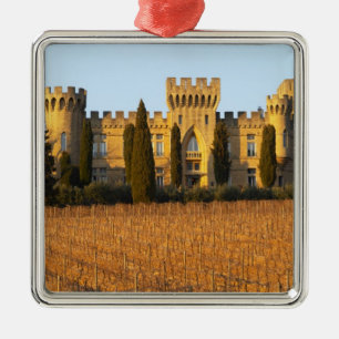 The vineyard with syrah vines and the chateau metal ornament