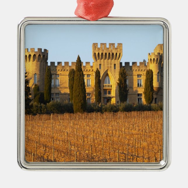 The vineyard with syrah vines and the chateau metal ornament (Front)