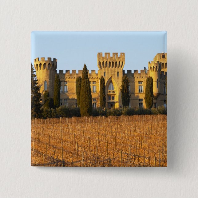 The vineyard with syrah vines and the chateau pinback button (Front)