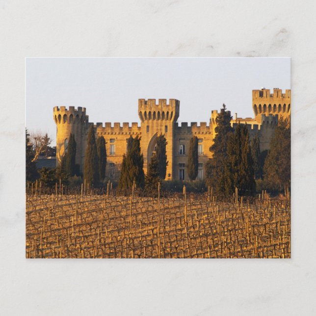 The vineyard with syrah vines and the chateau postcard (Front)