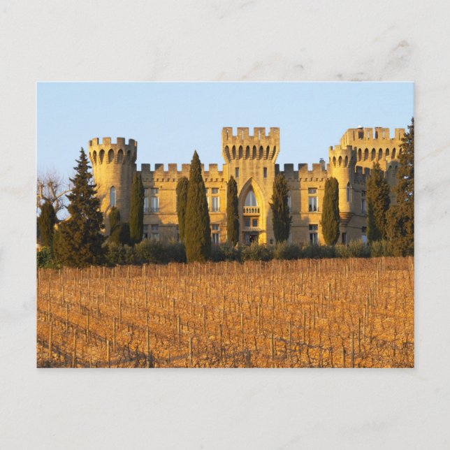 The vineyard with syrah vines and the chateau postcard (Front)