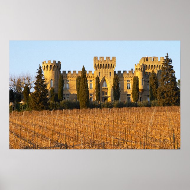 The vineyard with syrah vines and the chateau poster (Front)