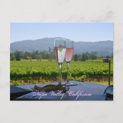The Vineyards of Napa Valley Postcard