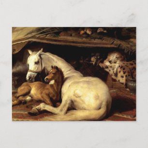 The Vintage Horse Postcard