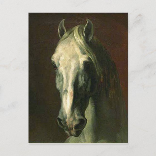 The Vintage Horse Postcard (Front)