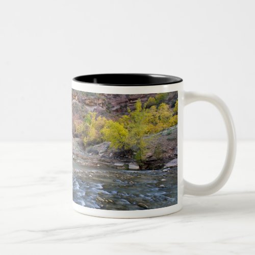 The Virgin River in autumn in Zion National Park Two_Tone Coffee Mug