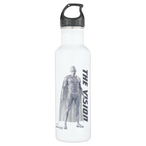 The Vision Character Art Stainless Steel Water Bottle