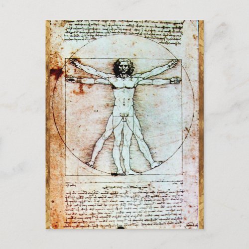 THE VITRUVIAN MAN  Antique Brown Parchment Postcard