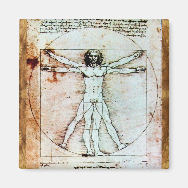 THE VITRUVIAN MAN  Antique  Parchment Magnet (Front)