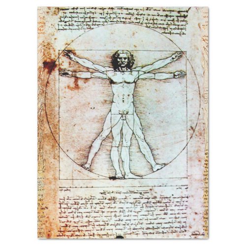 THE VITRUVIAN MAN  Antique  Parchment Tissue Paper
