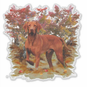 The Vizsla  Sticker