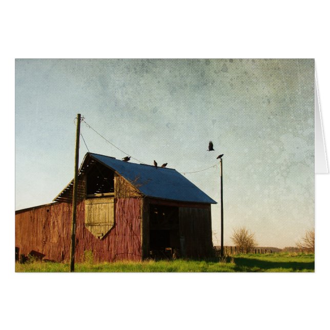 The Vultures and the Barn Cards (Front Horizontal)