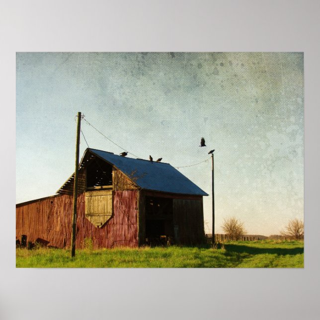 The Vultures and the Barn Poster (Front)