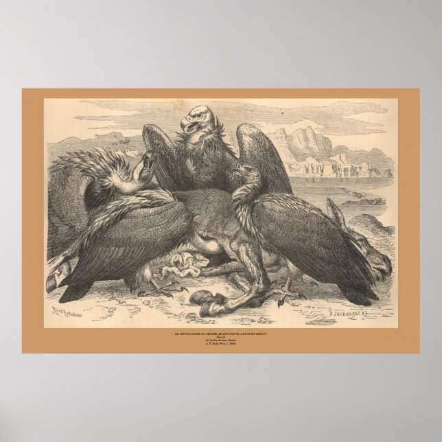 The Vultures Poster (Front)