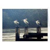 the wait (Front Horizontal)