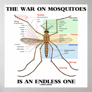 Malaria Posters, Malaria Prints, Art Prints, & Poster Designs | Zazzle