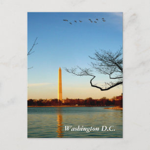 The Washington Monument Postcard