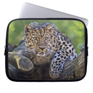 The Watcher Laptop Sleeve