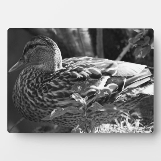 The Watcher Plaque (Front)