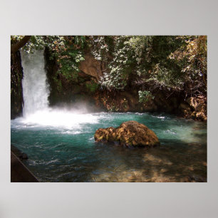 The Water Chakra Poster