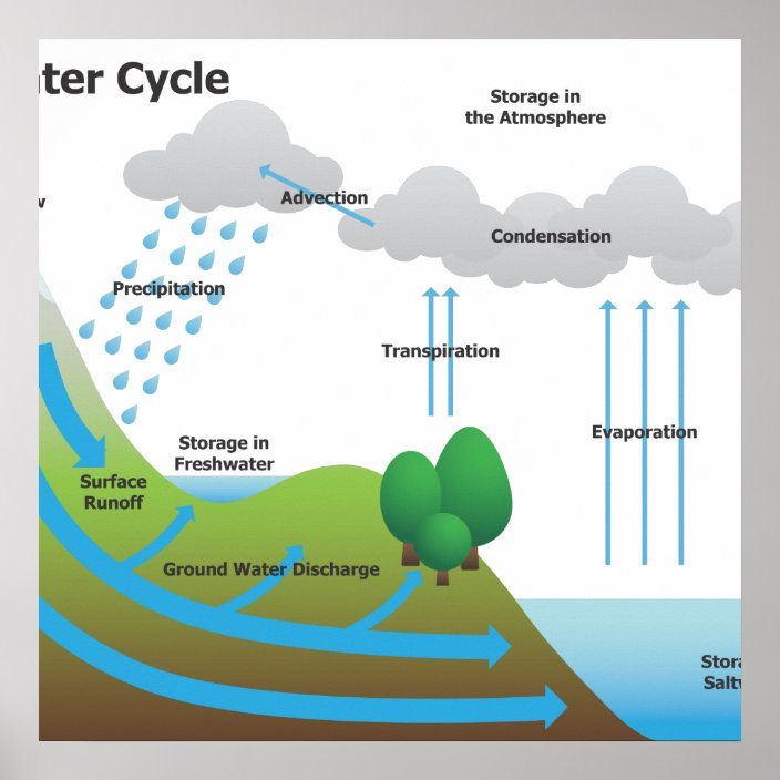 The Water Cycle Poster | Zazzle.com