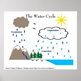 Water Cycle Posters | Zazzle