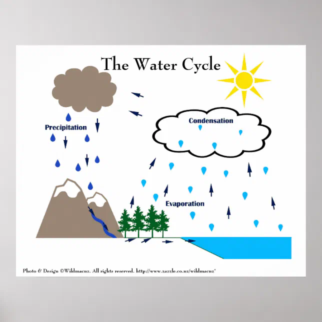 The water cycle poster | Zazzle