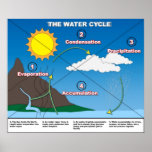 The Water Cycle Poster | Zazzle