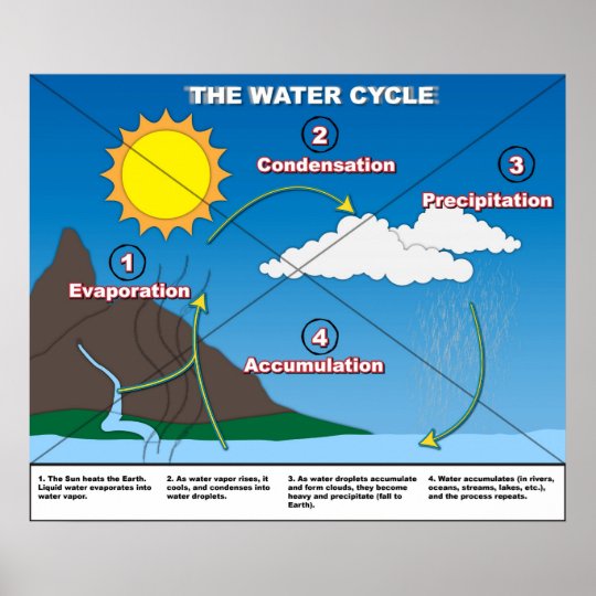 The Water Cycle Poster | Zazzle.com