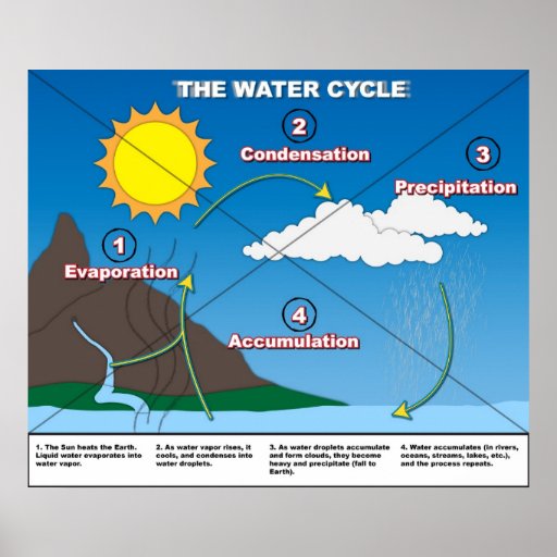 The Water Cycle Posters | Zazzle