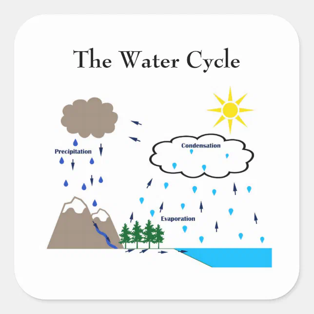 The water cycle sticker | Zazzle