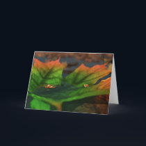 The Water Is Wide Card