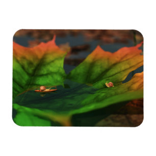 The Water Is Wide Flexible Magnet