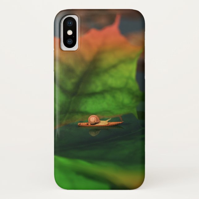 The Water Is Wide iPhone Case (Back)