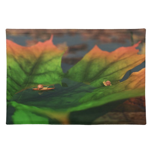 The Water Is Wide Placemats (Front)