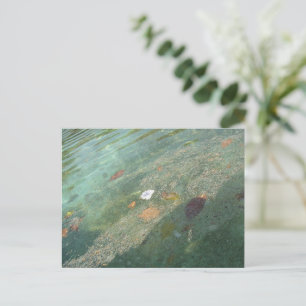 The water's surface in October Postcard