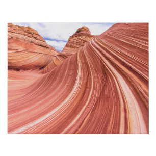 The Wave Sandstone Rock Formation Faux Canvas Print