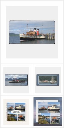 The Waverley Paddle Steamer