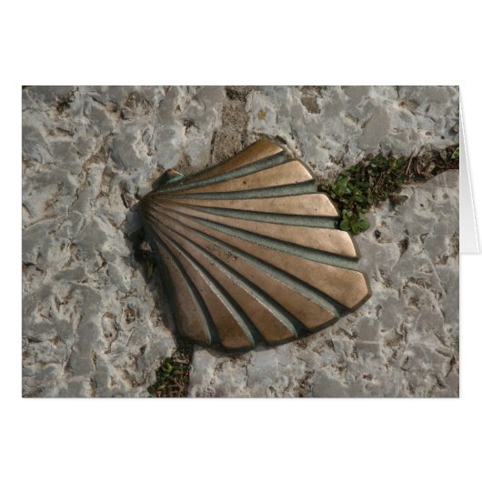 The Way of St. John, Scallop Route Marker Cards (Front Horizontal)