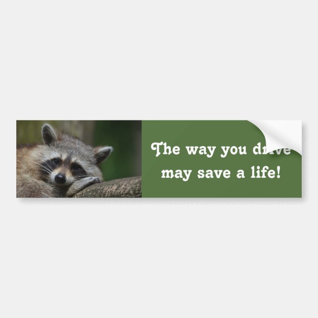 The Way You Drive Bumper Sticker (Front)
