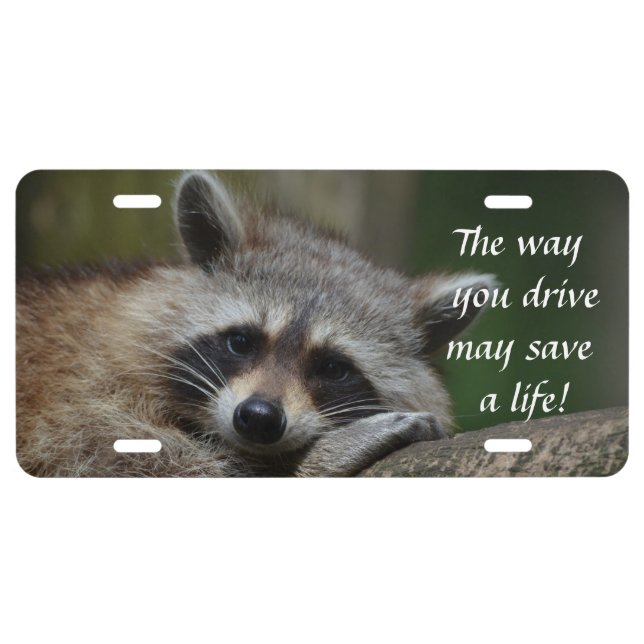 The Way You Drive License Plate (Front)