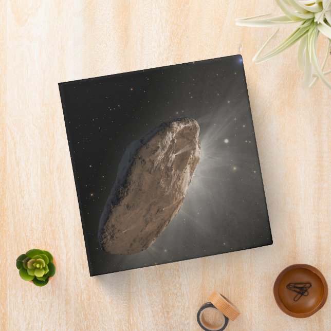 The Wayward Interstellar Object Oumuamua. 3 Ring Binder (In Situ)