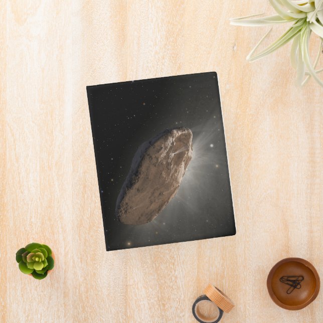 The Wayward Interstellar Object Oumuamua. Mini Binder (InSitu)