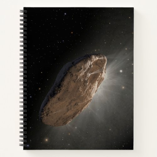 The Wayward Interstellar Object Oumuamua Notebook