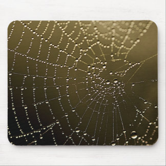 The Web Mouse Pad